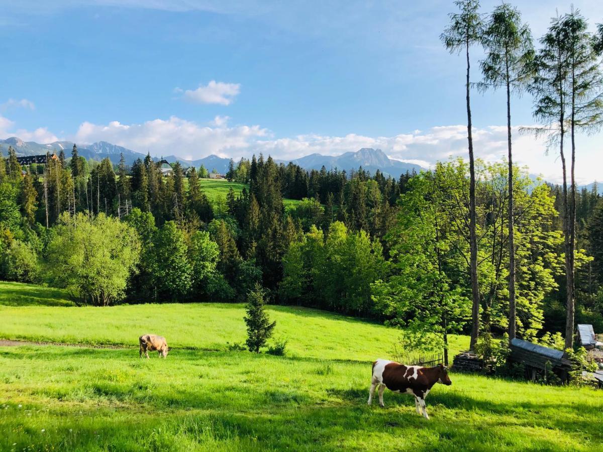 Tatrzanska Polana 5F Apartamento Zakopane Exterior foto